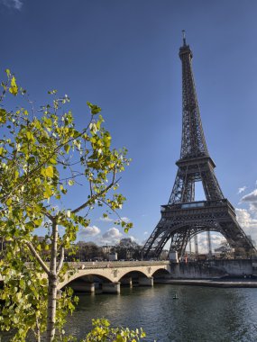 Paris. Kış Eyfel Kulesi. La tour eiffel