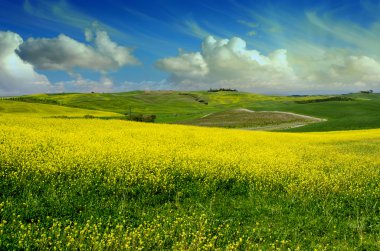 Toskana manzara bahar zaman yeşil
