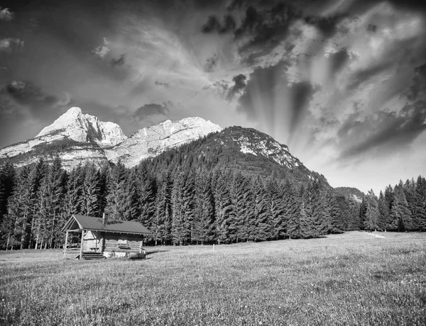 Alpin hut met weilanden — Stockfoto