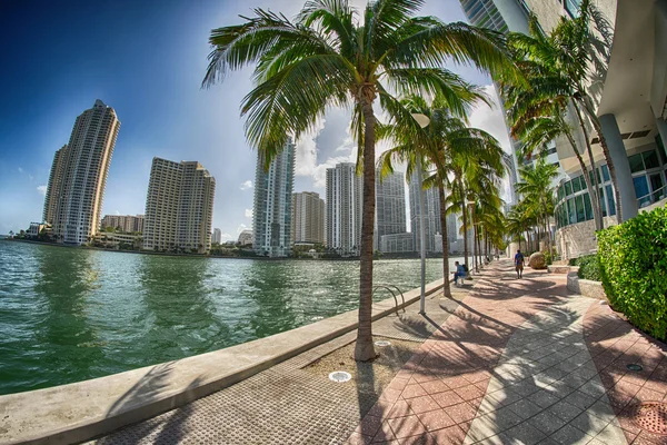 Beau paysage urbain de Miami près de l'océan — Photo