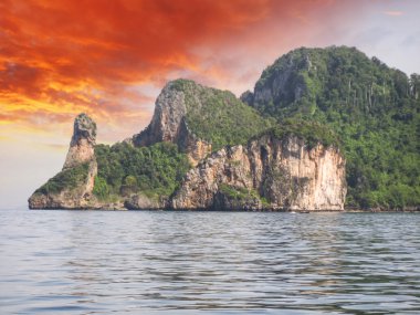 Tayland. güzel doğa ve bitki örtüsü, tavuk Adası