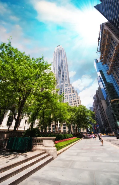 New york gökdelen üzerinde 5th avenue, yanındaki Halk Kütüphanesi. — Stok fotoğraf