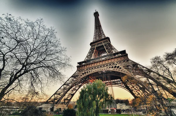 La Torre Eiffel en invierno. Árboles desnudos famosos en París —  Fotos de Stock