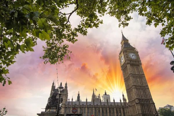 Parlamentsgebäude, London. Westmünsterpalast umrahmt von einem Baum — Stockfoto