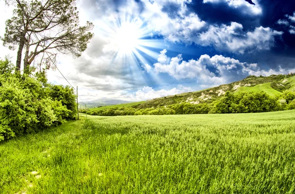 Wunderschöne Frühlingsfarben der Toskana - Wiesen und Hügel — Stockfoto