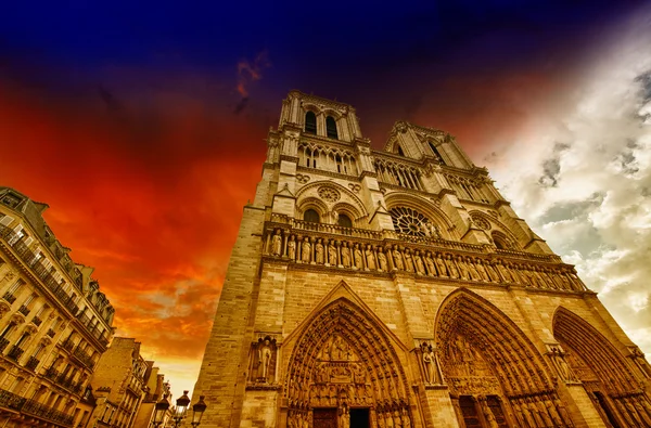 Paris. Beautiful view of Notre Dame Cathedral — Stock Photo, Image