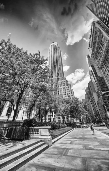 Rascacielos de Nueva York en 5th Avenue, junto a la Biblioteca Pública . — Foto de Stock