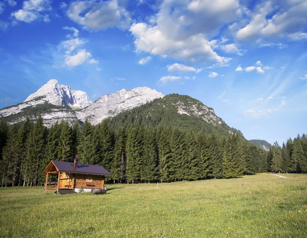 Paesaggio alpino con colori estivi — Foto Stock