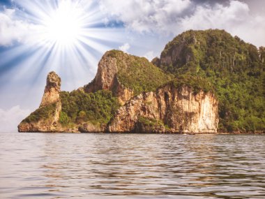 Tayland. güzel doğa ve bitki örtüsü, tavuk Adası