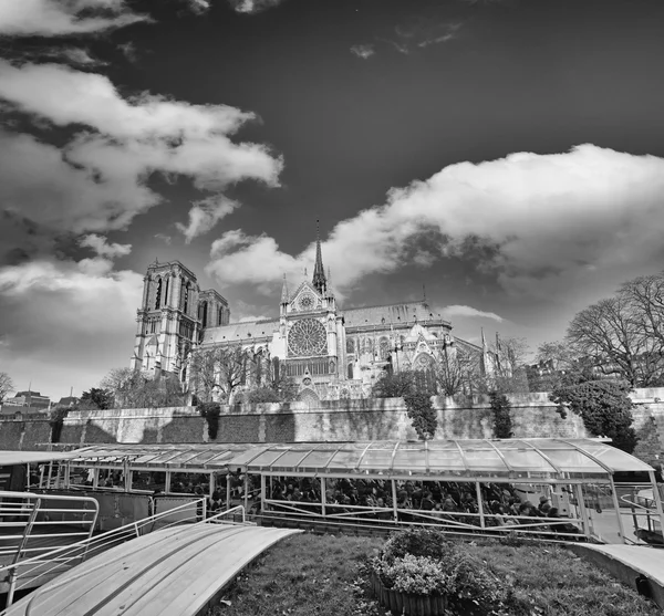 Cattedrale di Notre Dame, Parigi . — Foto Stock