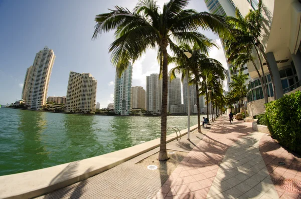 Detalhe de Chopin Plaza, Miami — Fotografia de Stock