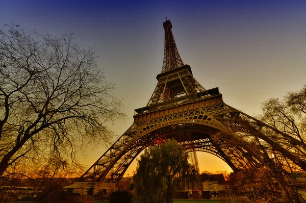 The Eiffel Tower in winter. Bare trees faming Paris landmark — Stock Photo, Image