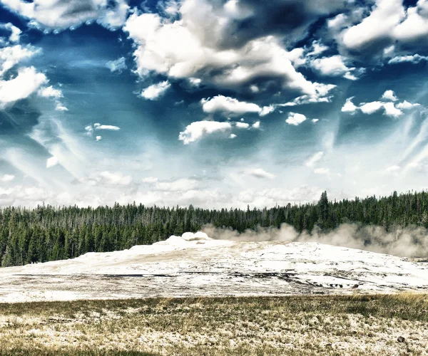 Starter utbrudd av Old Faithful Geyser ved Yellowstone – stockfoto