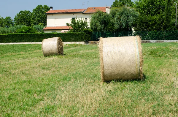 Belos fardos de feno dourado com campo como fundo - Toscana — Fotografia de Stock