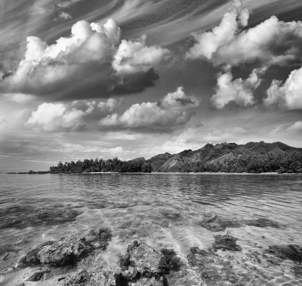 Океан Полінезії зі скелі над кришталево чистою водою і Мак-Дональд — стокове фото