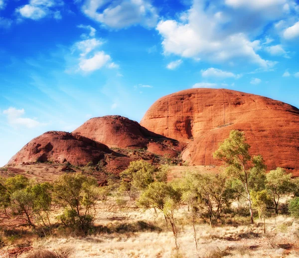 Divoká krajina v australském vnitrozemí, Severní teritorium — Stock fotografie