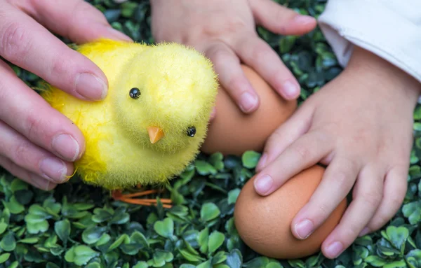 Baby hand raken easter eieren op een tuin met gele kuiken — Stockfoto