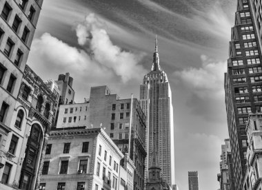 New york şehri. Şehir binaları caddeden görünümü