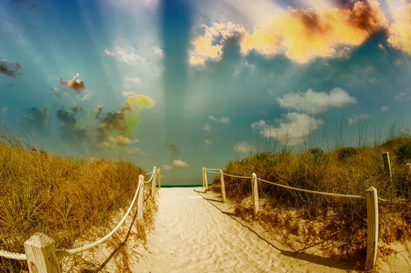 Gateway to the ocean — Stock Photo, Image