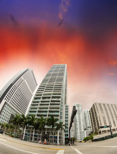 Edifícios de Downtown Miami — Fotografia de Stock