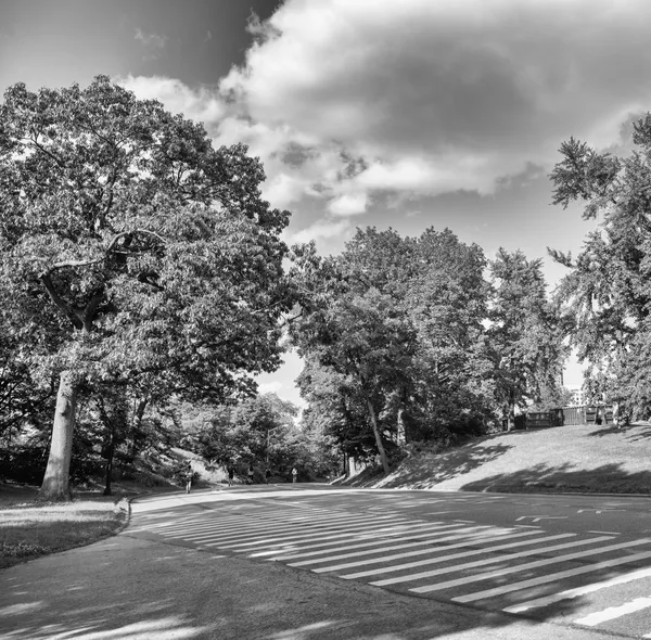Drzew, łąk i drogi central Park - manhattan, new york c — Zdjęcie stockowe