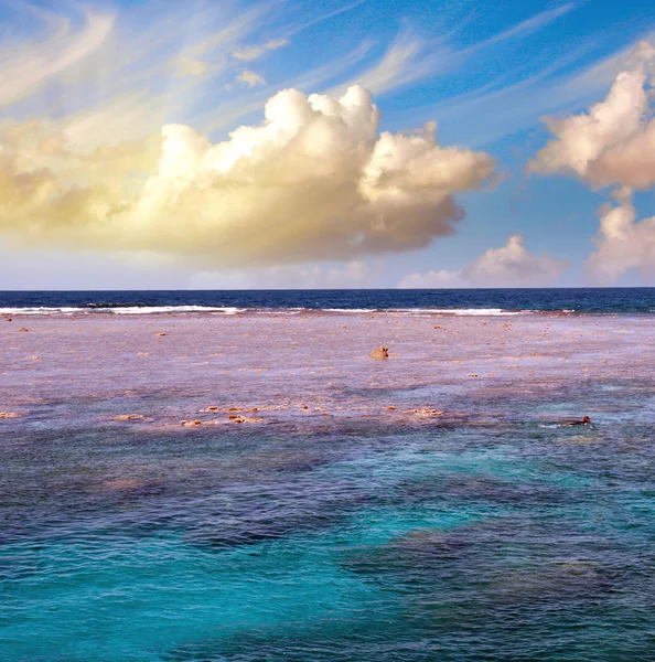 Queensland, Austrálie. nádherné barvy korálových útesů — Stock fotografie