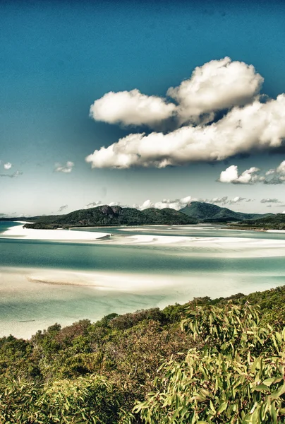 Wunderschönes meer und wald von königsland. — Stockfoto