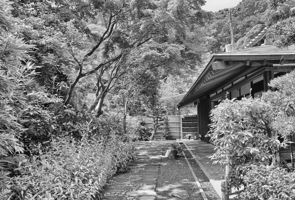 Zahrada a v létě vegetace v Tokiu, Japonsko — Stock fotografie