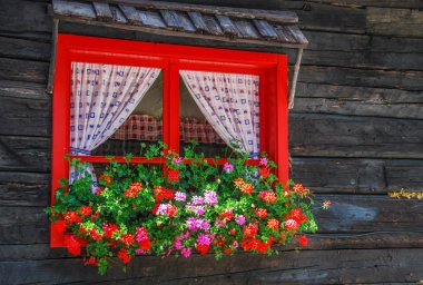 çiçeklerle süslü kırmızı bir pencere