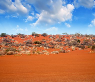 outback Autralian.