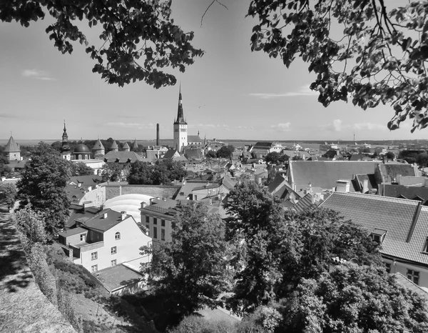 Красиві skyline Санкт-Петербург, Росія — стокове фото