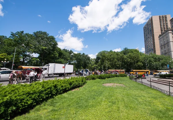 People relax in Central Park — Stock Photo, Image