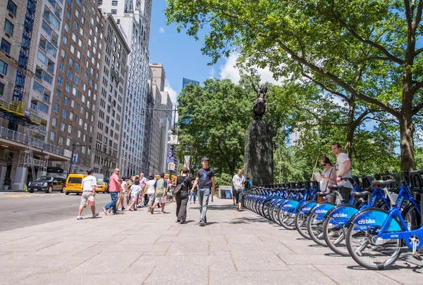 Fila de bicicletas azules — Foto de Stock