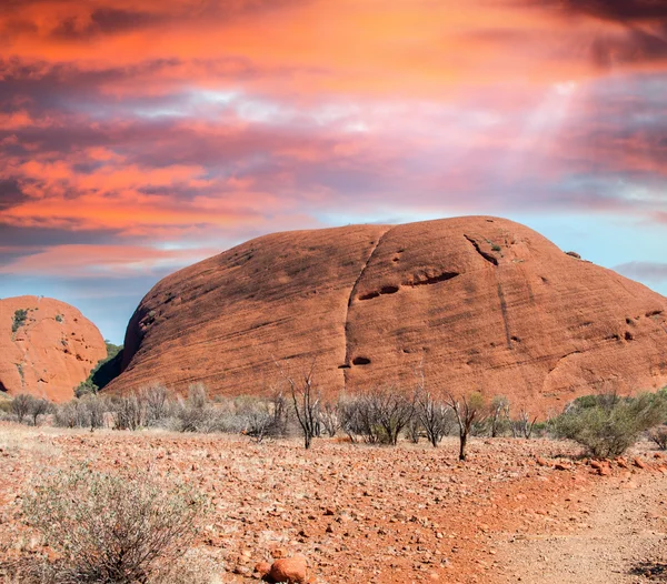 Northern Territory - Australien — Stockfoto