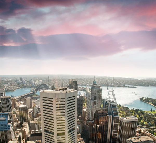 Sydney skyscrapers — Stock Photo, Image