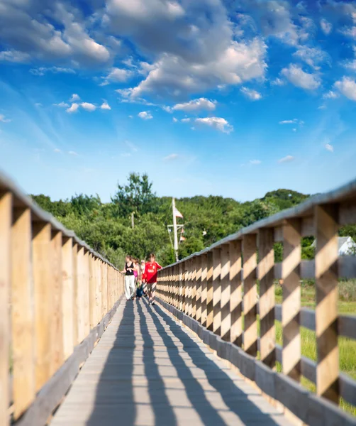 Passerella nel parco di campagna — Foto Stock