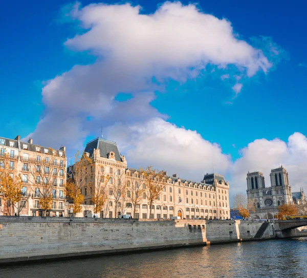 Seine-floden och notre dame-katedralen — Stockfoto
