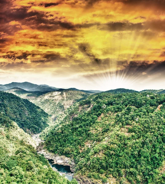 Daintree rain forest at sunset — Stock Photo, Image