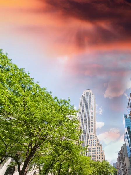 Edifícios da 5th Avenue, Nova Iorque — Fotografia de Stock