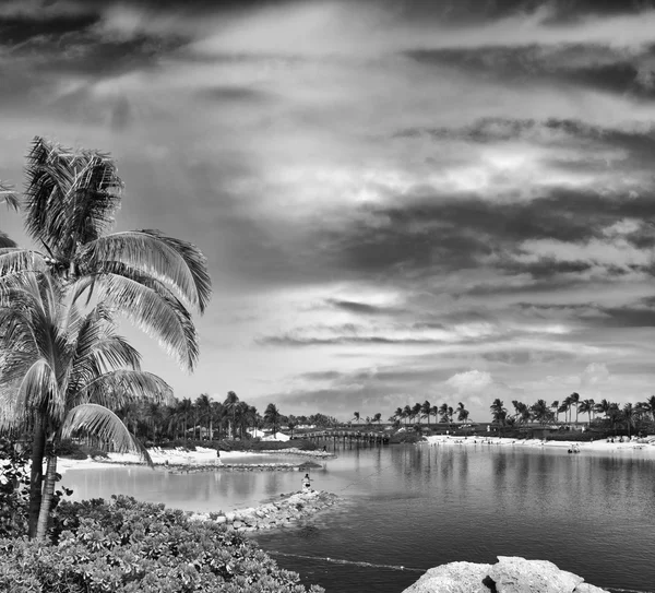 Spiaggia dei Caraibi — Foto Stock