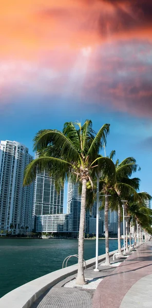 Miami along the sea — Stock Photo, Image