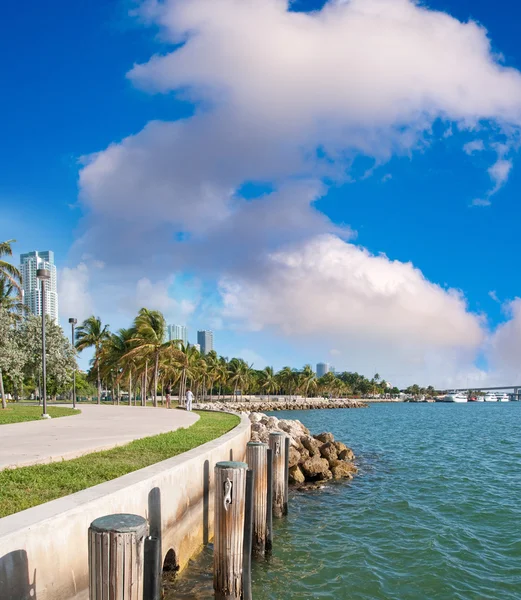 Miami podél moře — Stock fotografie