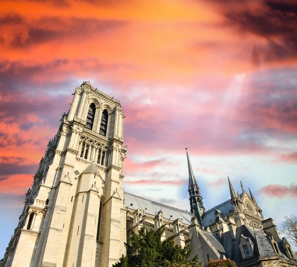 Notre Dame kathedraal, Parijs. — Stockfoto