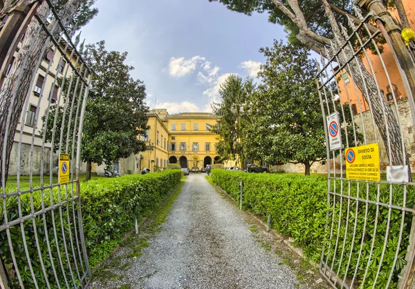 Pisa. Edificio antiguo — Foto de Stock