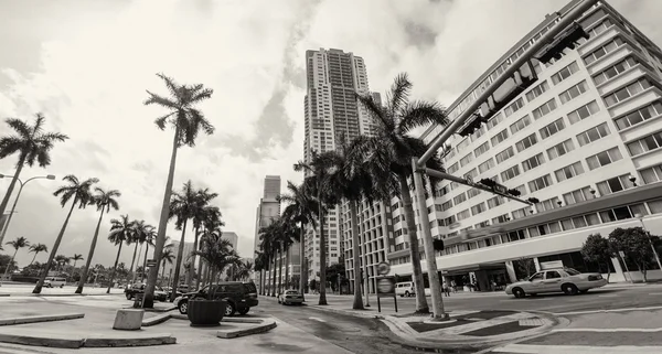 Miami skyskrapor - florida — Stockfoto