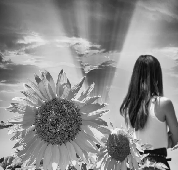 Woman with a great sunflower — Stock Photo, Image
