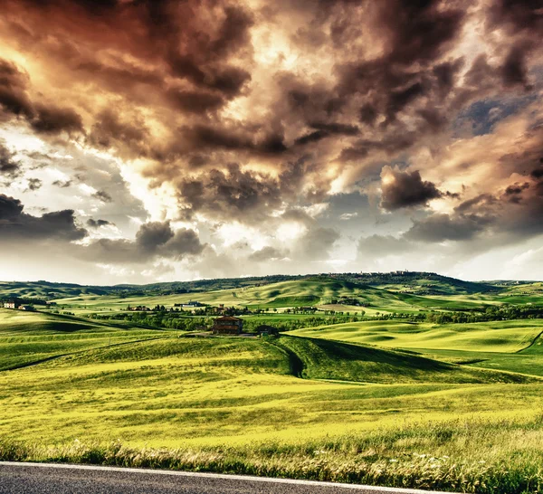 Spring green and yellow meadows — Stock Photo, Image