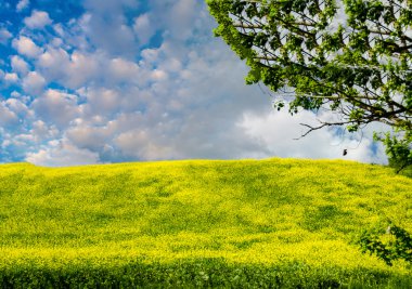 tepe Toskana, İtalya