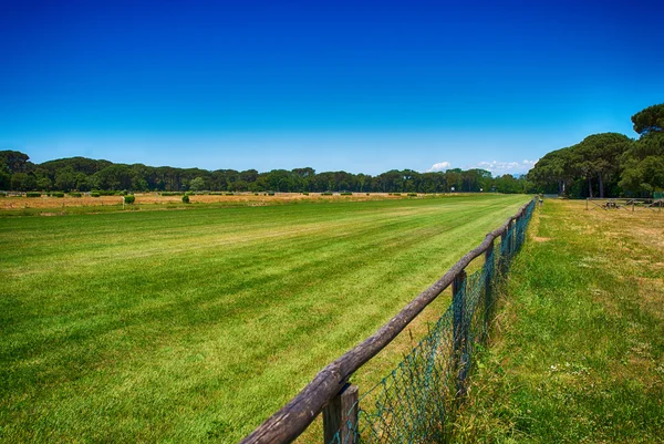 Beautiful park — Stock Photo, Image