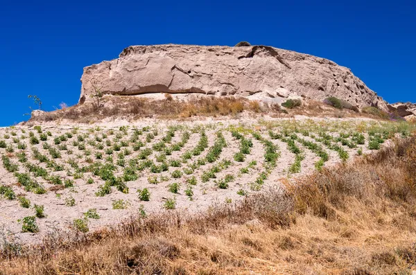 Landscape and mountains in Kos, Greece — Stock Photo, Image